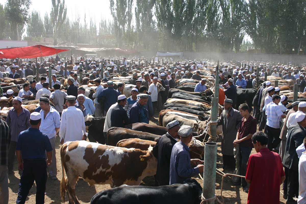 Haustierbasar in Kashgar